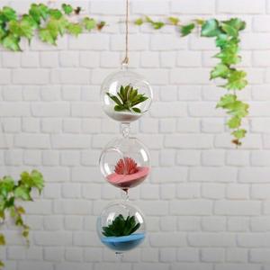 Hydroponic glass vase round