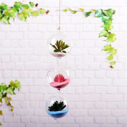 Hydroponic glass vase round