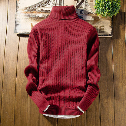 Hoover turtleneck sweater