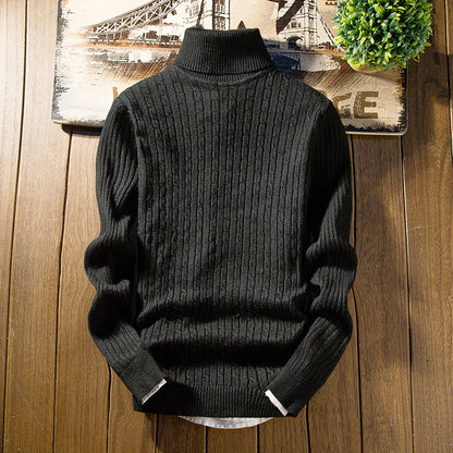 Hoover turtleneck sweater