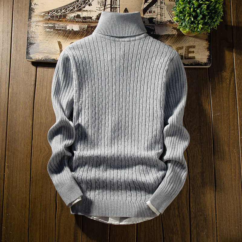 Hoover turtleneck sweater