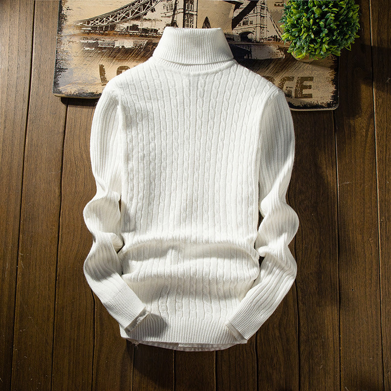 Hoover turtleneck sweater