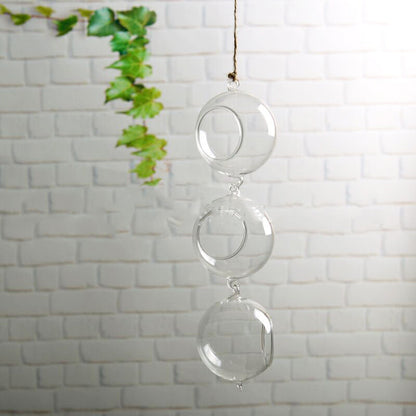 Hydroponic glass vase round