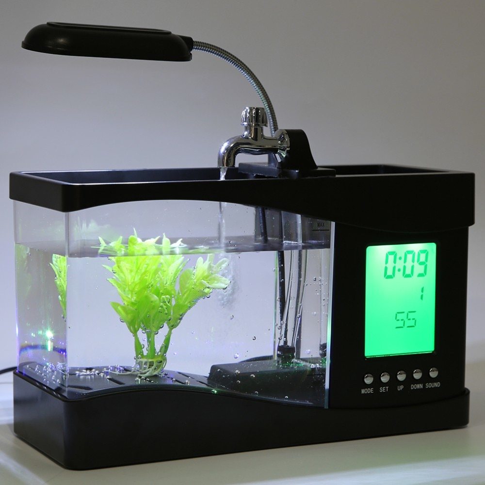 Mini Aquarium