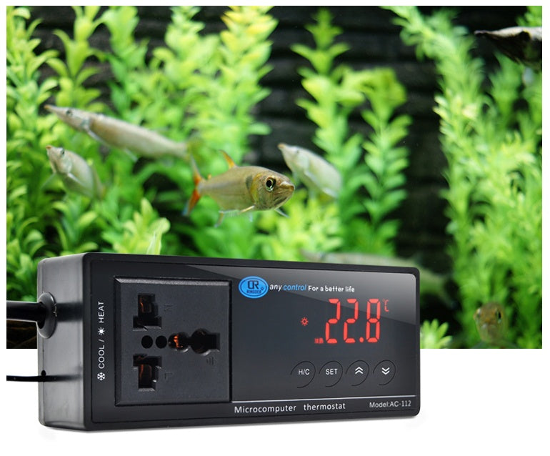 Digitalanzeige Thermometer Aquarium/Terrarium