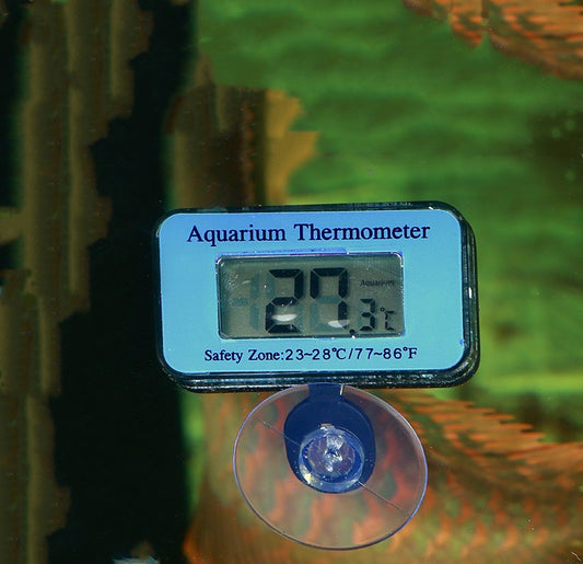 Digitales LCD-Aquarium Thermometer mit Saugnapf