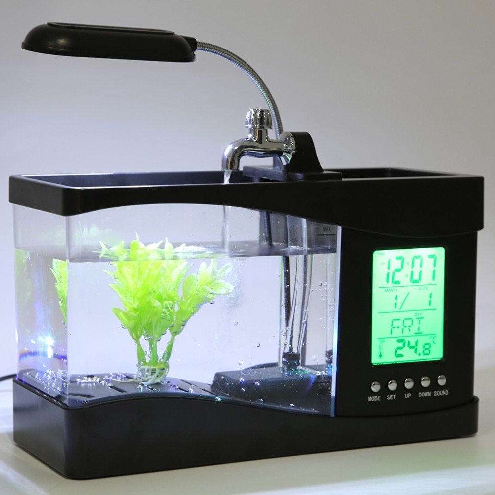 Mini Aquarium