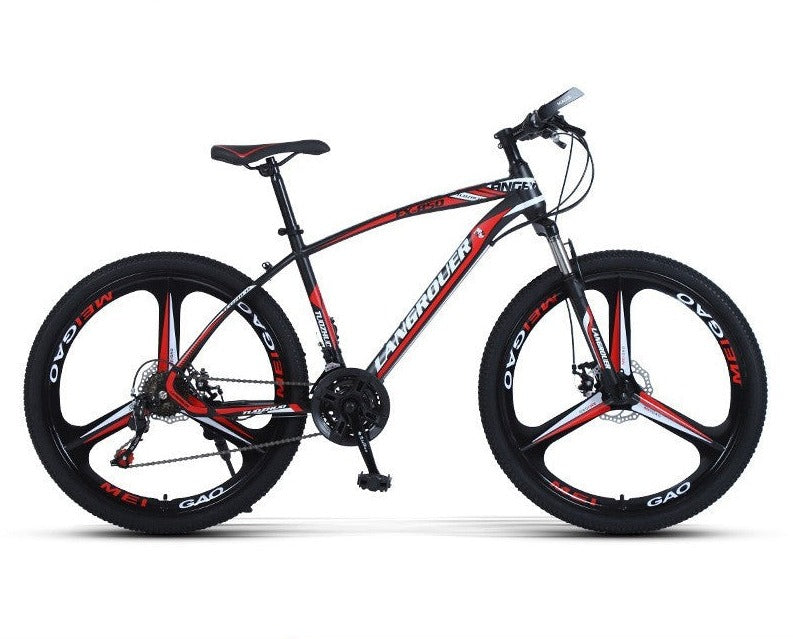 Langrouer Mountainbike