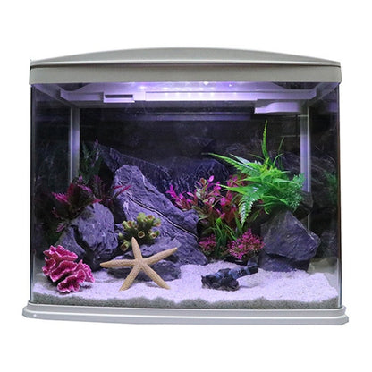 Foot Chain Crawler Box Aquarium Box Decoration