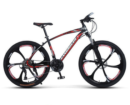 Langrouer Mountainbike